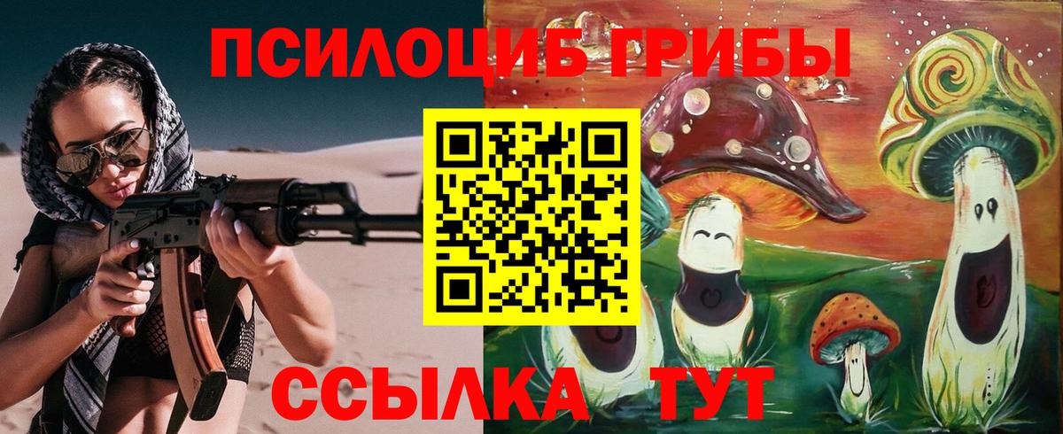 Псилоцибиновые грибы ЛСД Сухой Лог